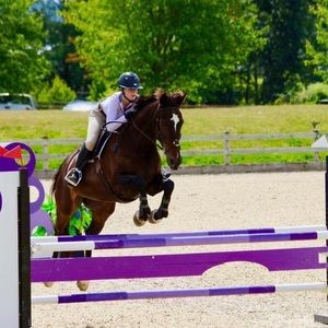 Meet your Posher, Dyllan